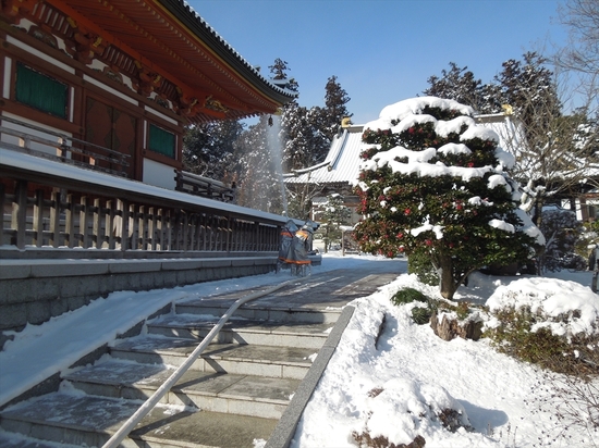 DSCN0030_R.JPG