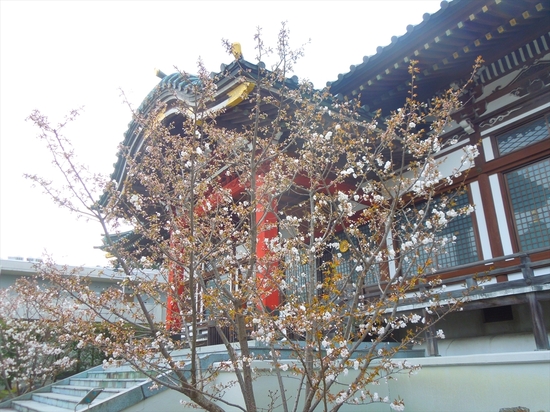 DSCN9460_R.JPG