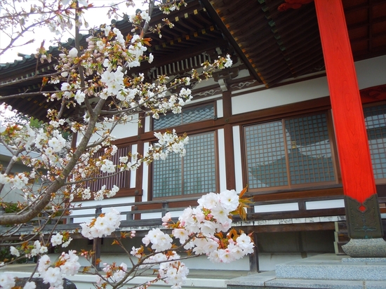 DSCN9462_R.JPG